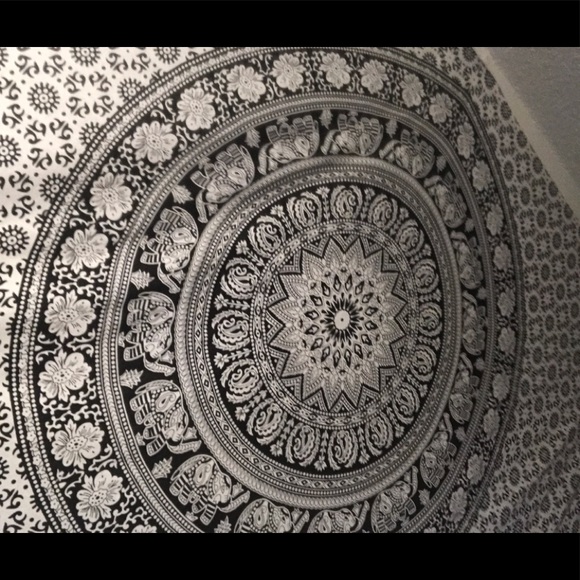 Meet your Posher, Grace - Picture 1 of 1